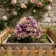 thumbnail image 1 of Flores Artificiales | Flores Sintéticas para Decoración de Jardines Exteriores y Decoración Del Hogar Interior | Pétalos de Tela de Seda Flexibles | para Porches, Patios, Jardineras y Centros de Mesa, 1 of 6