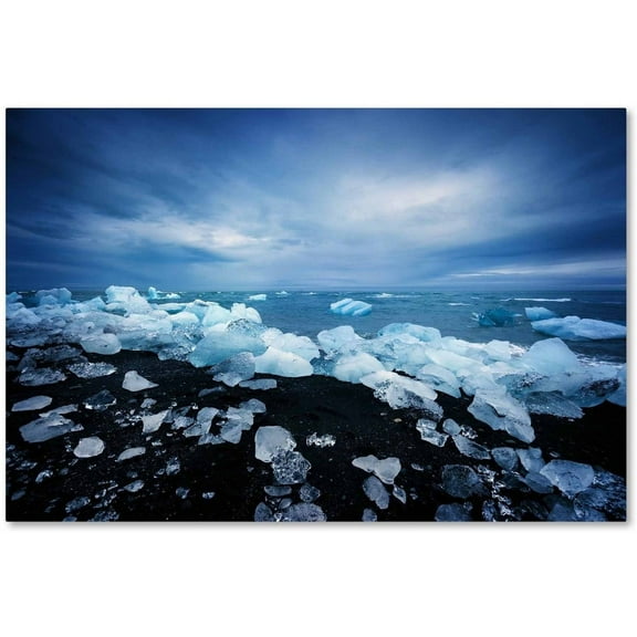 Trademark Fine Art 'Land of Ice' Canvas Art by Philippe Sainte-Laudy