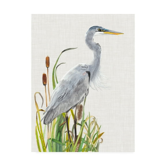 Naomi Mccavitt 'Water Birds And Cattails I' Canvas Art