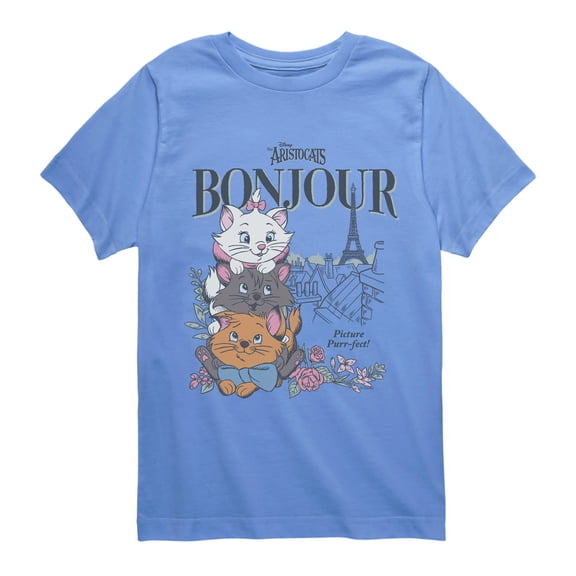 The Aristocats - Bonjour - Youth Boys Short Sleeve Graphic T-Shirt