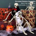 thumbnail image 3 of Mini esqueleto de cuerpo completo Wdftyju 15,75 pulgadas Halloween estilo A novio, 3 of 8