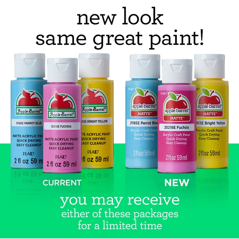 Apple Barrel Multi-Color Gloss Acrylic Craft Paint (20 Pieces), Size: 2 fl oz; 8 fl oz
