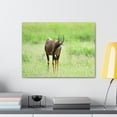 thumbnail image 3 of Antelope Hunting Antelope on Hunt Print Animal Wall Art Wildlife Canvas Prints Wall Art Ready to Hang Unframed, 3 of 18