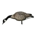 thumbnail image 2 of Avian X AXP Honkers Full Body Goose Decoys with Topflight Floaters, 2 of 2