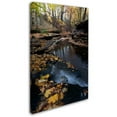 thumbnail image 2 of Trademark Fine Art "Autumn Stream" Canvas Art by Kurt Shaffer, 2 of 3