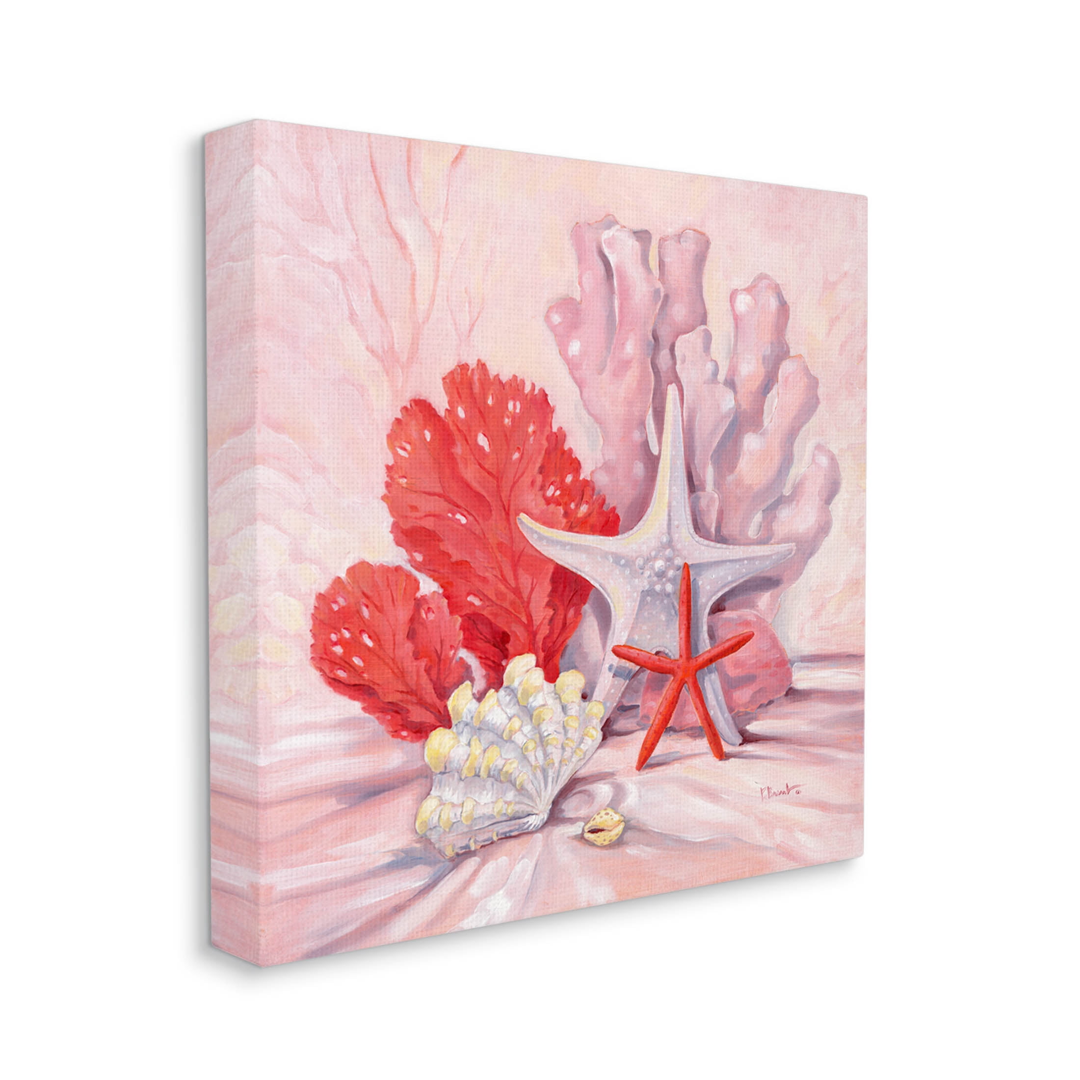 Stupell Industries Pink Shells Coral Still Life Painting Gallery Wrapped Canvas Print Wall Art, Design by Paul Brent