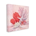 thumbnail image 3 of Stupell Industries Pink Shells Coral Still Life Painting Gallery Wrapped Canvas Print Wall Art, Design by Paul Brent, 3 of 7