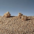 thumbnail image 3 of Arena para Gato CATS BEST 10 Lts 4 kg Biodegradable, 3 of 3