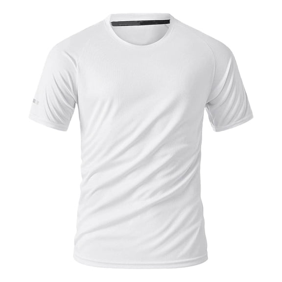 LIaqionyy Mens Quick Dry T Shirt Casual Soft Workout Short Sleeve Crew Neck Solid Color Gym Running Tops