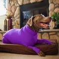 thumbnail image 4 of Mono deportivo para perro: caída del pelo de perro para el hogar, el coche, los viajes, la camisa que calma la ansiedad, la protección contra los rayos UV y las garrapatas, 4 of 5