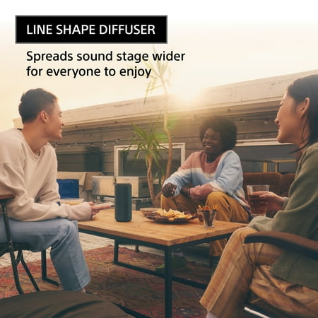 Sony - XE300 Portable Waterproof and Dustproof Bluetooth Speaker - Black
