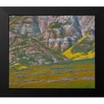 thumbnail image 2 of Fitzharris, Tim 17x15 Black Modern Framed Museum Art Print Titled - Wildflower Bloom, 2 of 5