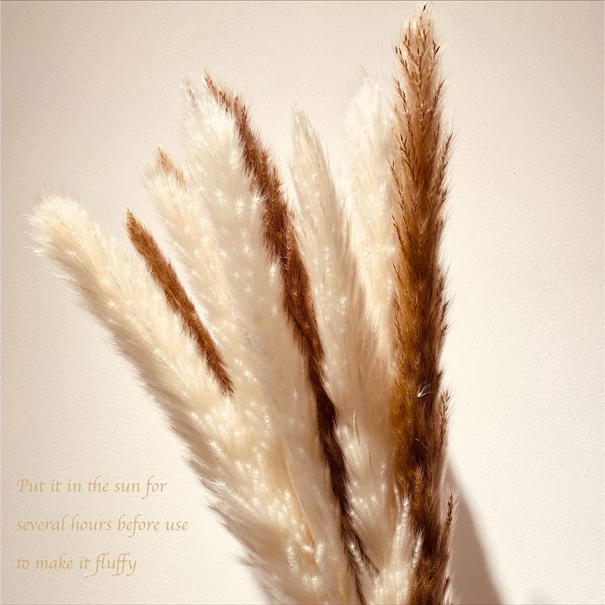 Baumaty Dried Pampas Grass Plumes 30 Pieces 17 Inch Tall Natural Dried  Plants Artificial Faux Reed Flower Stems Bunch for Wedding Arrangements  Vase Door Wreath Decor 