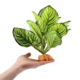 thumbnail image 4 of Unique Bargains Reptile Plants Decoration Reptile Plants for Terrarium Decor 8.66"x2.13"x10.63" Green, 4 of 6
