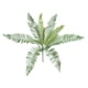 thumbnail image 2 of Ramo de Flores de Flores Decorativas de Hojas de Cycas Artificiales para, 2 of 9