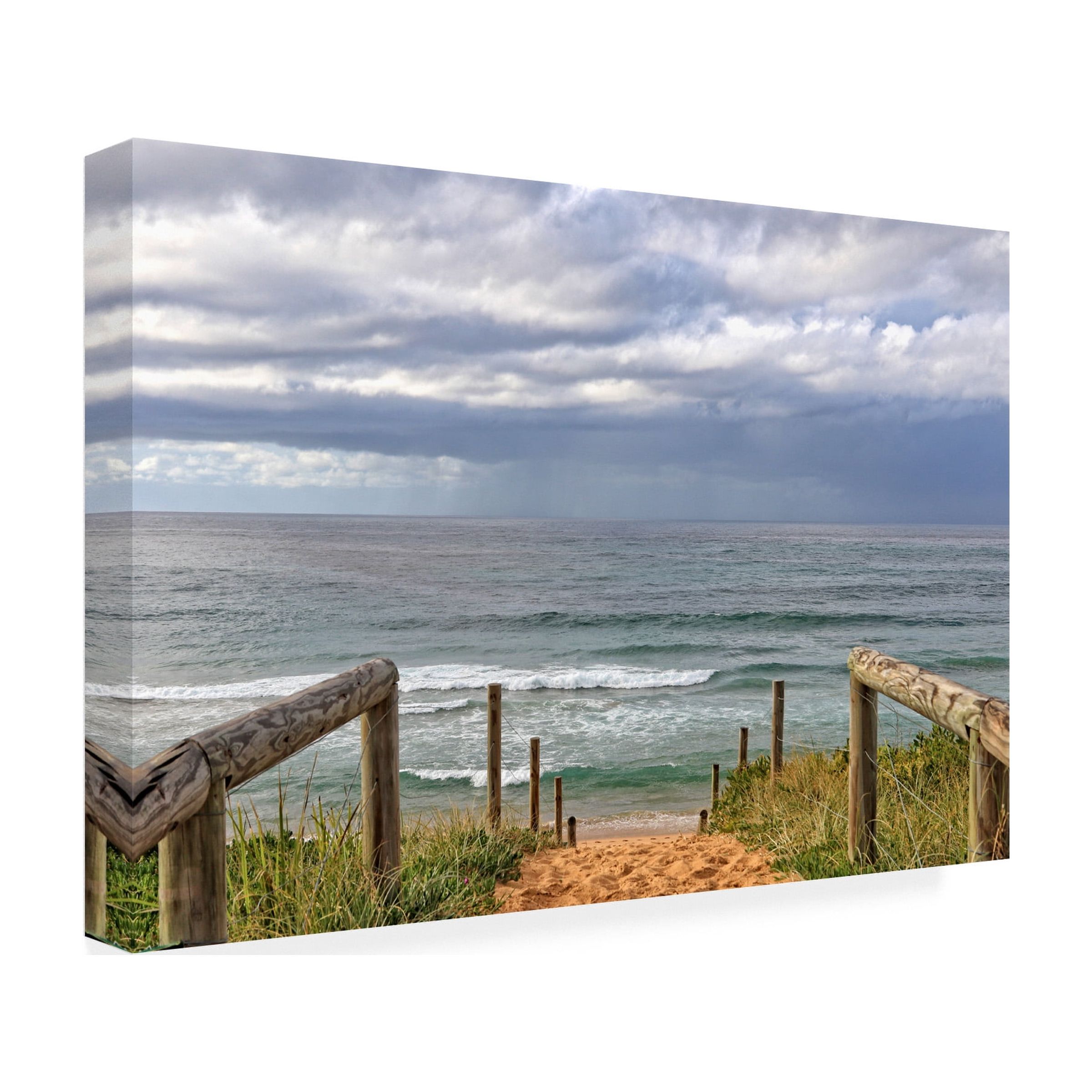 Trademark Fine Art 'BC Time to chill' Canvas Art by Beata Czyzowska Young