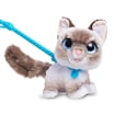 Little Live Pets Cozy Dozy Cubbles the Bear - Interactive Toy with Over ...