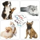 thumbnail image 4 of 5 piezas Gafas de sol de perros Gamias elegantes Protección de gafas Atractivos para perros, 4 of 4