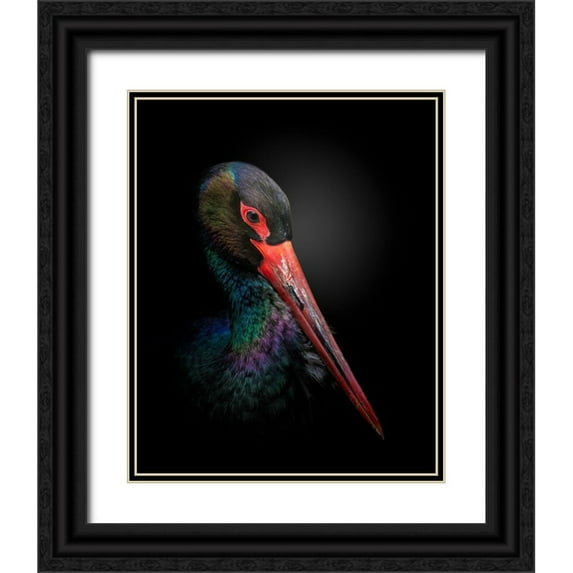 Fegari 20x24 Black Ornate Wood Framed with Double Matting Museum Art Print Titled - The Black Stork