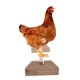 thumbnail image 4 of CRAFTHROU De Madera Para Color Resistente Y Decorativo Para Mascotas, 4 of 8