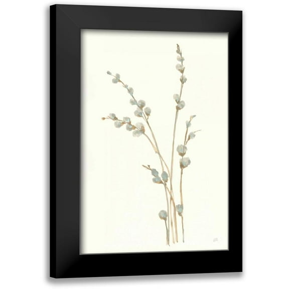 Paschke, Chris 11x14 Black Modern Framed Museum Art Print Titled - Pussy Willows I