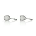 thumbnail image 6 of 14K White Gold Round Opal Stud Earrings - 4mm, 6 of 9