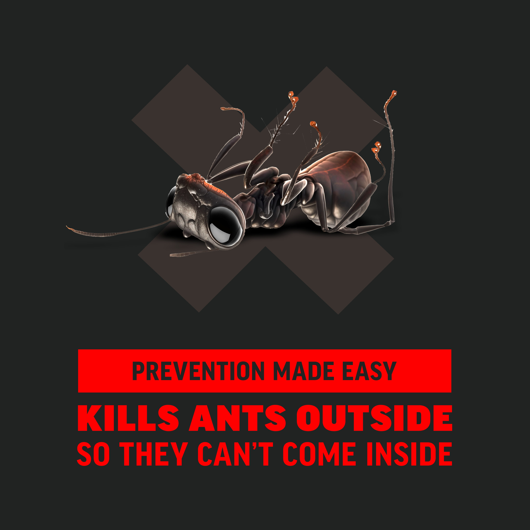 Amdro Ant Block Home Perimeter Ant Bait, 24 oz photo 6