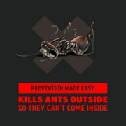 Amdro Ant Block Home Perimeter Insect Killer Bait, 24 Ounce, Powder