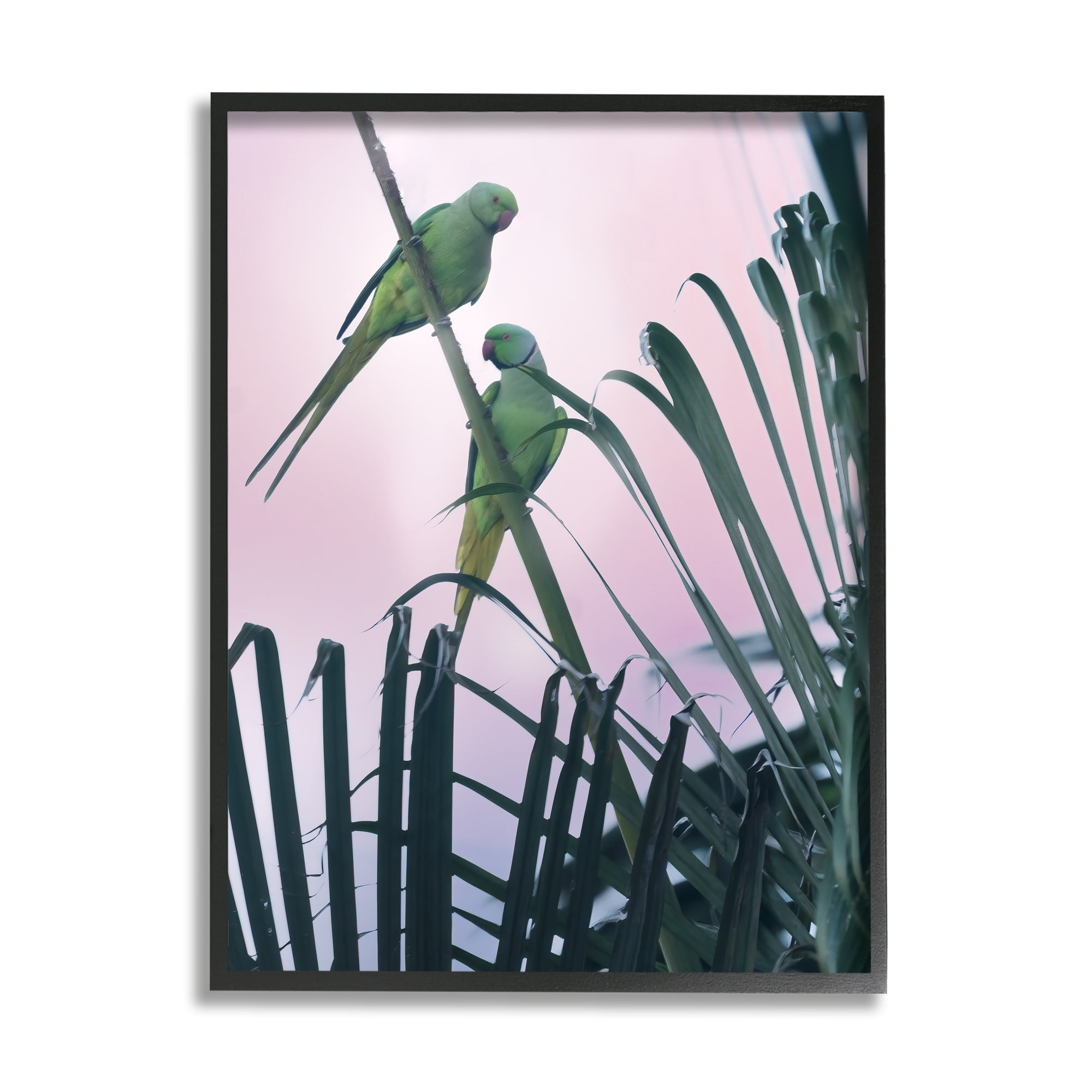 Stupell Industries Tropical Parakeets Pink Sky Animals & Insects Photography Gray Framed Art Print Wall Art