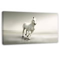 thumbnail image 1 of Design Art 'Beautiful White Horse Running' Photographic Print on Wrapped Canvas, 1 of 2