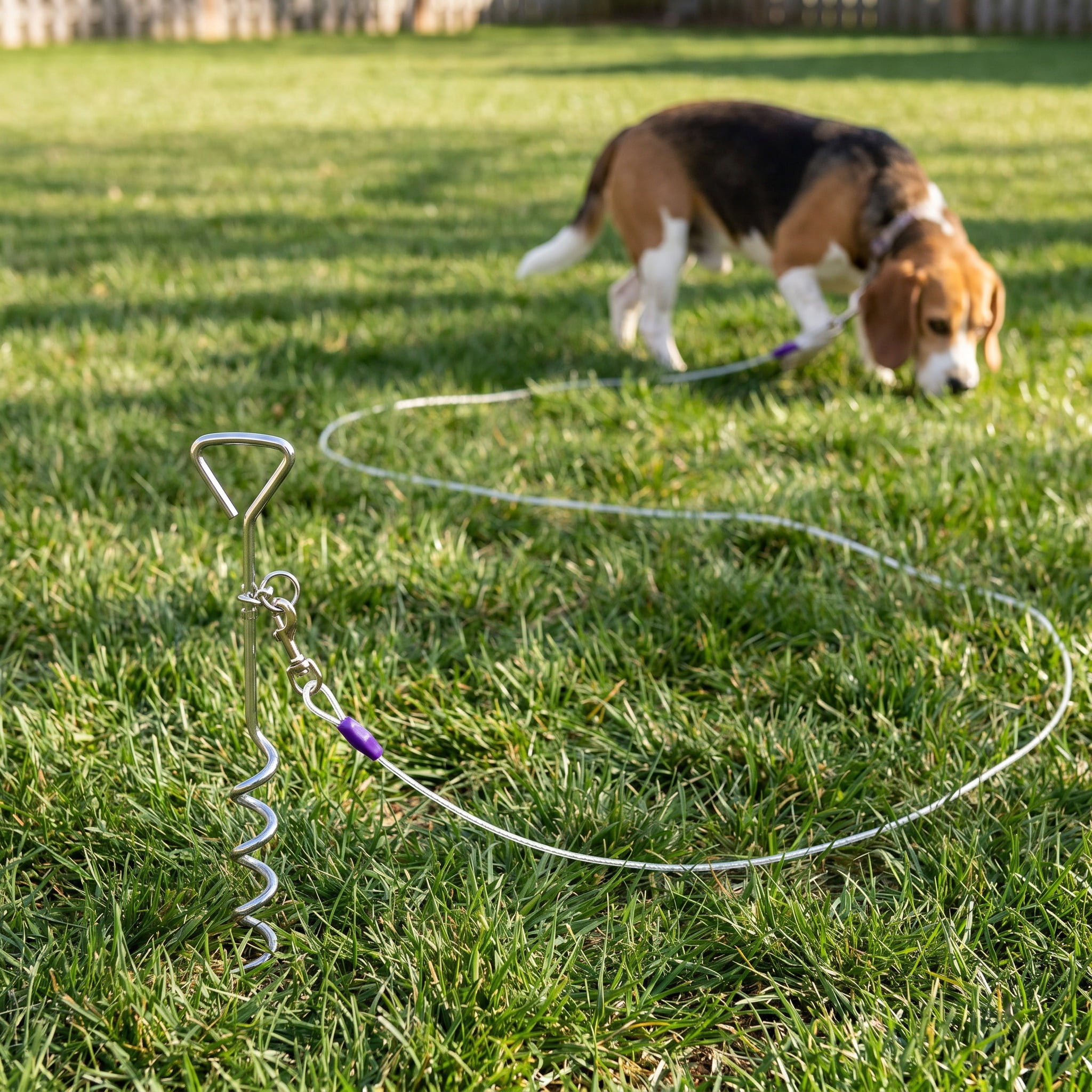 (3 pack) Vibrant Life Reflective Vinyl-Covered Cable and Spiral Stake Set for Dogs, M, 25'