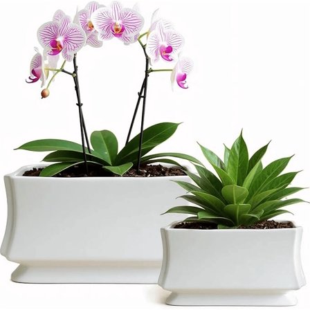30 x 22 x 15.5cm Square White Ceramic Flower Pot (2 Count)