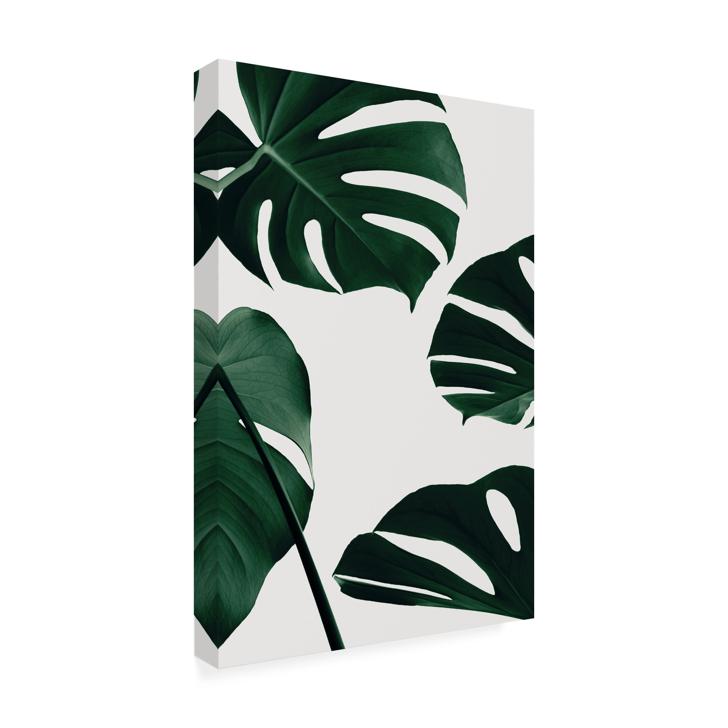 1x Studio III 'Monstera Natural 20' Canvas Art
