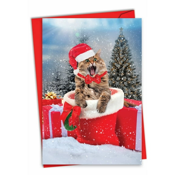 1 Christmas Card with Envelope - Cats Antics C3195FXSG