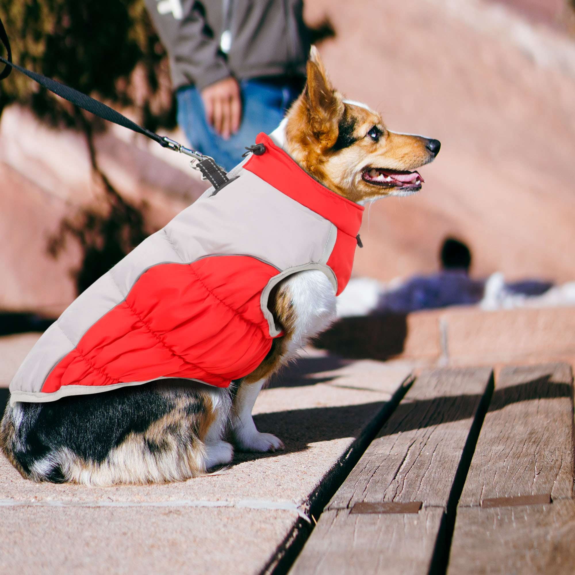 BadPiggies Warm Dog Winter Coat Reflective Dog Jacket Waterproof Cold Weather Pet Vest for Medium Large Dogs XL-6XL