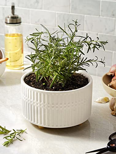 BEMAY 2-Pack 8+6.5 inch White Ceramic Succulent Pots with Drainage Holes for Indoor, Patio, and Garden Decor Plant Pots