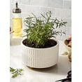 thumbnail image 5 of BEMAY 2-Pack 8+6.5 inch White Ceramic Succulent Pots with Drainage Holes for Indoor, Patio, and Garden Decor Plant Pots, 5 of 9