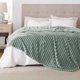thumbnail image 2 of Manta Bedsure GentleSoft, forro polar de franela, tamaño queen, color verde salvia, 2 of 7