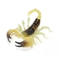 thumbnail image 1 of Insects Gashapon Big Picture Book Series Mantis Spider Scorpion Wasp Simulation Insect Action Figure Model Toys, 1 of 5