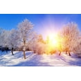 thumbnail image 1 of EREHome Polyester Fabric 7x5ft Winter Background Backdrop for Photography White Snow Trees Christmas Photo Background with Gorgeous Sunshone Wedding Backdrops, 1 of 1