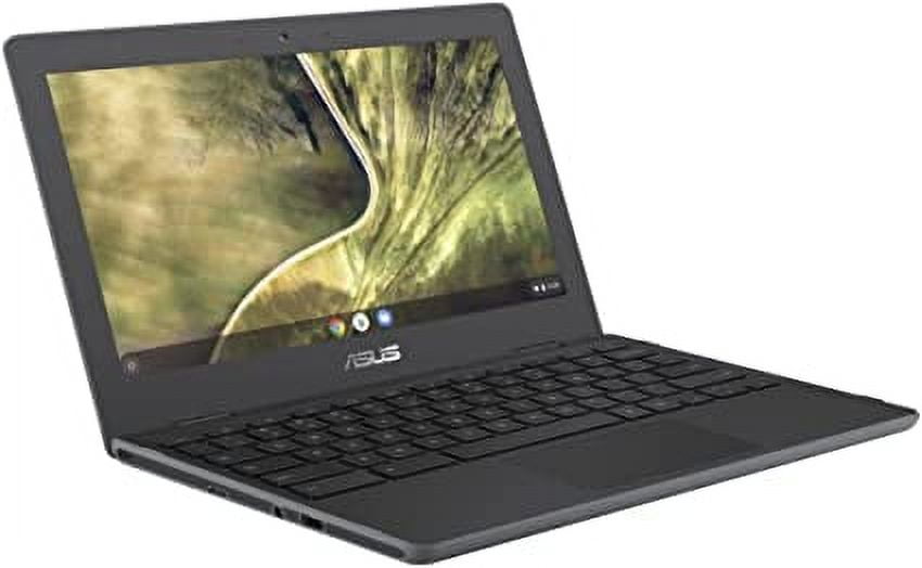 Asus Chromebook C204MA 11.6