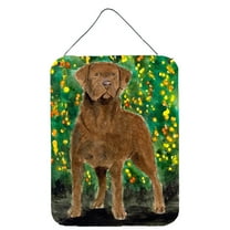 Carolines Treasures SS8969DS1216 Chesapeake Bay Retriever Aluminium Metal Wall or Door Hanging Prints, 16" x 12", Multicolor