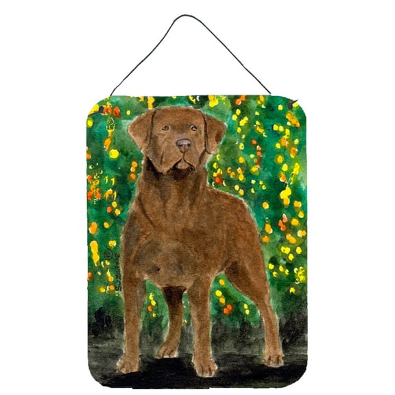 Carolines Treasures SS8969DS1216 Chesapeake Bay Retriever Aluminium Metal Wall or Door Hanging Prints, 16" x 12", Multicolor