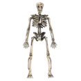 thumbnail image 3 of KelaJuan 8PCS Mini Skeleton Figurines Small Halloween Skeleton Decor for Indoor Party Outdoor Graveyard Haunted House Accessories, 3 of 8