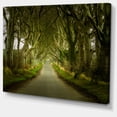 thumbnail image 2 of Dark Hedges Road through Old Trees - Landscape Canvas Art Print, 2 of 4