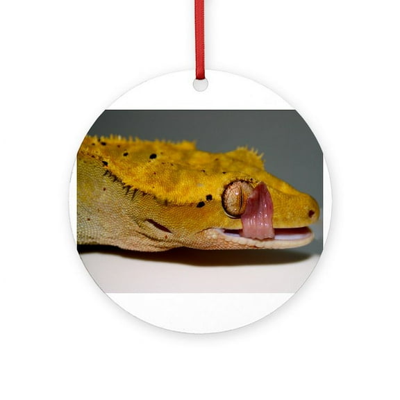 CafePress - Crested Gecko Lick -  Round Wood Ornament 4"