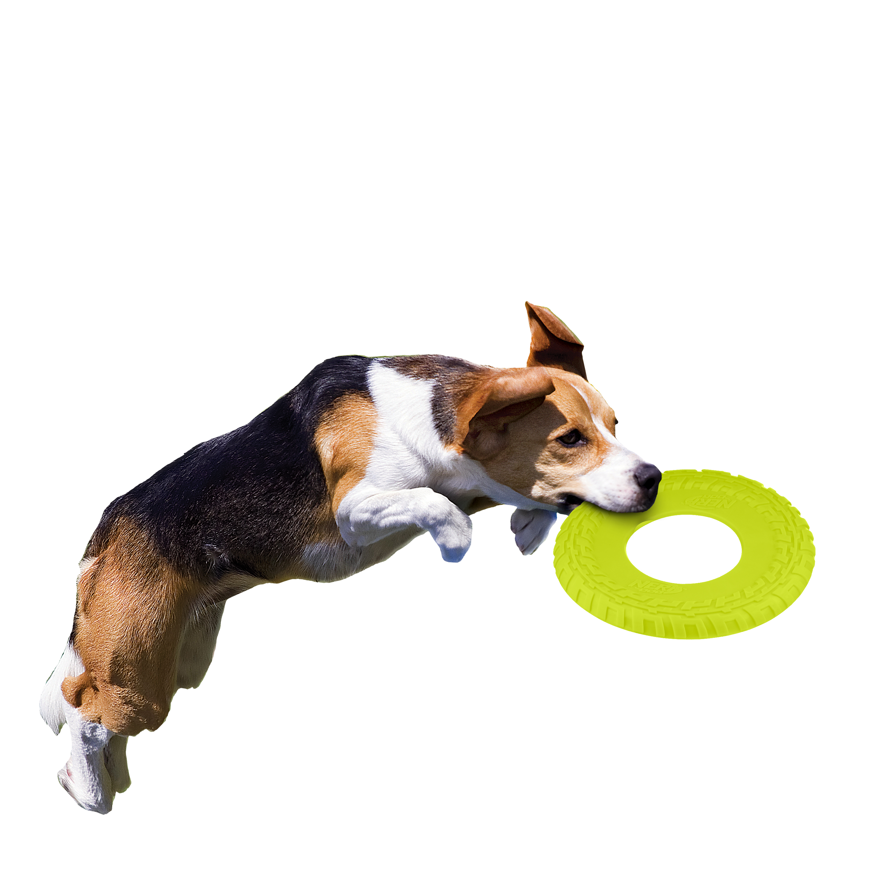 Nerf Pet Dog 10 Green Tire Flyer Toy Durable Lightweight Floating Frisbee Walmart