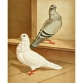 thumbnail image 3 of Gustav Prütz 12x14 Black Modern Framed Museum Art Print Titled - C. Bubo Media (1884-1886), 3 of 5