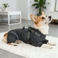 thumbnail image 3 of Winter Windproof Dog Trench Coat for Outdoor Adventures Fashionable Warm Pet Apparel with Polyester, 3 of 3