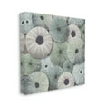 thumbnail image 4 of Stupell Industries Abstract Sea Urchins Nature Painting Gallery Wrapped Canvas Print Wall Art, 17 x 17, 4 of 8